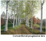 Conventional Progressive Lens